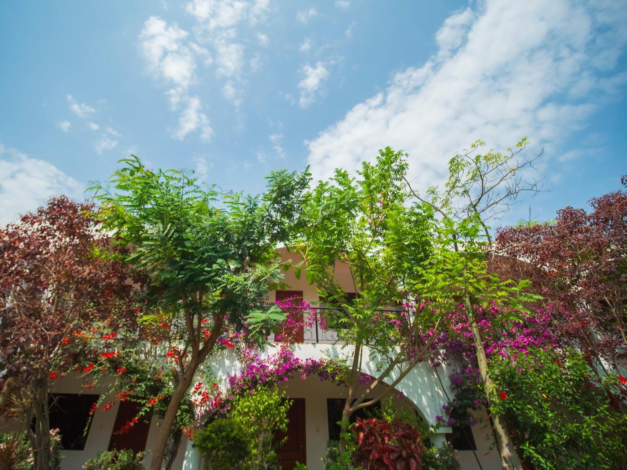 Casa Hotel Mamaluna Lunahuana Luaran gambar