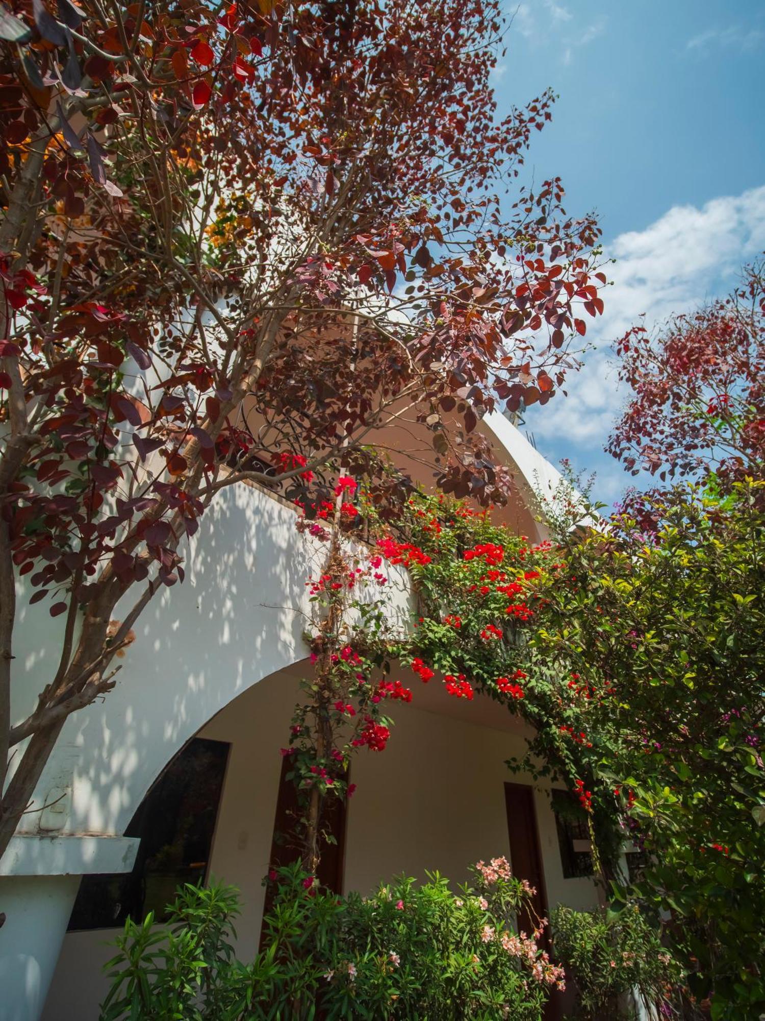 Casa Hotel Mamaluna Lunahuana Luaran gambar